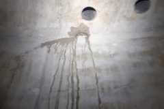 IMG-20260719-WA0131